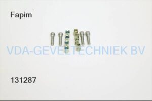 Fapim montage set scharnier 4 x inbusbout M8 6655 Loira+
